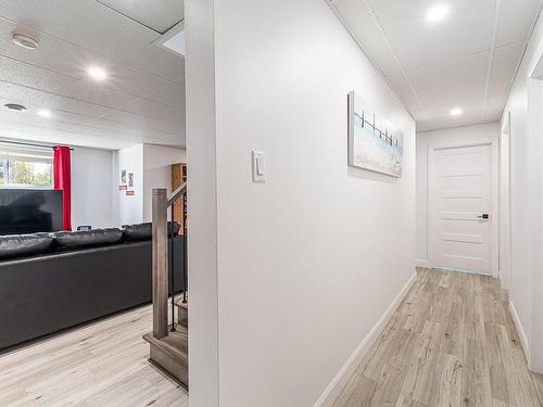 Basement - 207 Rue Des Pins, Roxton Falls, QC - Indoor