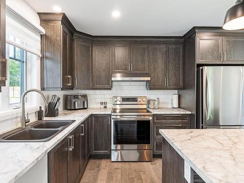 Cuisine - 207 Rue Des Pins, Roxton Falls, QC - Indoor Photo Showing Kitchen With Double Sink With Upgraded Kitchen