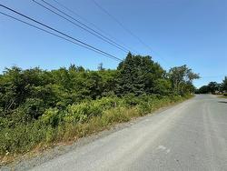 139 Greeleytown Road  Conception Bay South, NL A1X 2J7