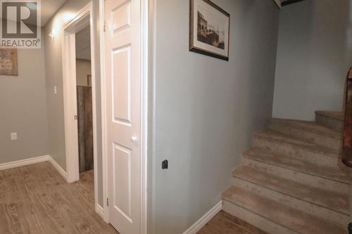 18 Kellys Point, Howley, NL - Indoor Photo Showing Other Room