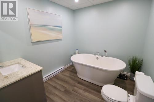 18 Kellys Point, Howley, NL - Indoor Photo Showing Bathroom