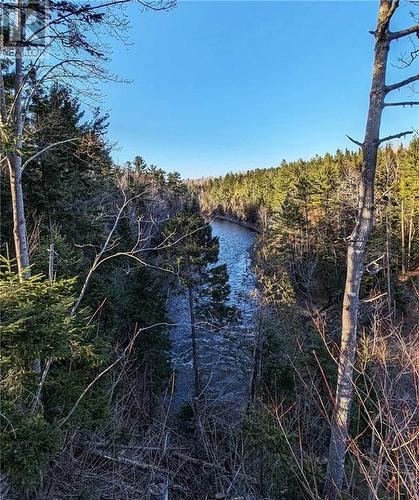 90 Timberland Drive, Bathurst, NB - Outdoor With View