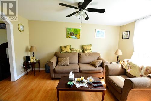 23 Hodgewater Line, Makinson, NL - Indoor Photo Showing Living Room