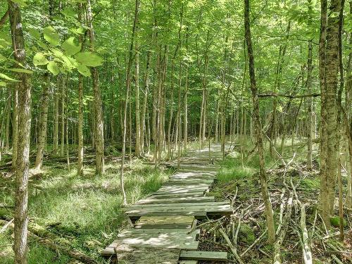 Backyard - 152 Côte Commandant, Mont-Tremblant, QC - Outdoor With View