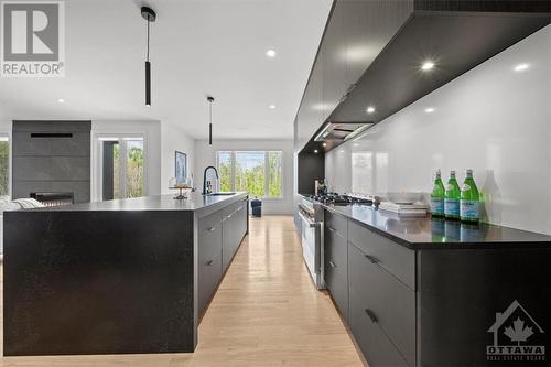 148 Westar Farm Way, Ottawa, ON - Indoor Photo Showing Kitchen With Upgraded Kitchen