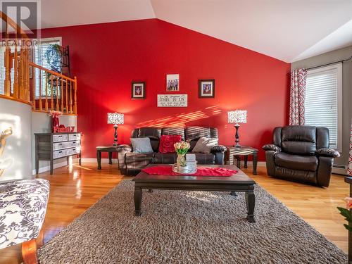 24 Lower Path Road, Bay Bulls, NL - Indoor Photo Showing Living Room