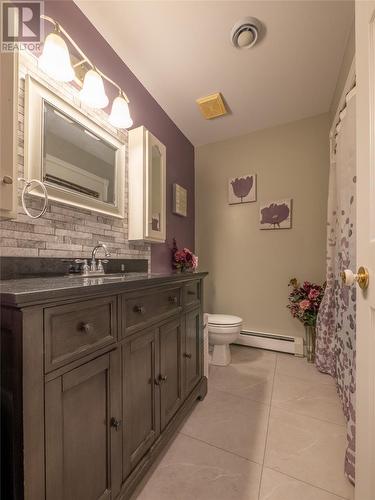 24 Lower Path Road, Bay Bulls, NL - Indoor Photo Showing Bathroom