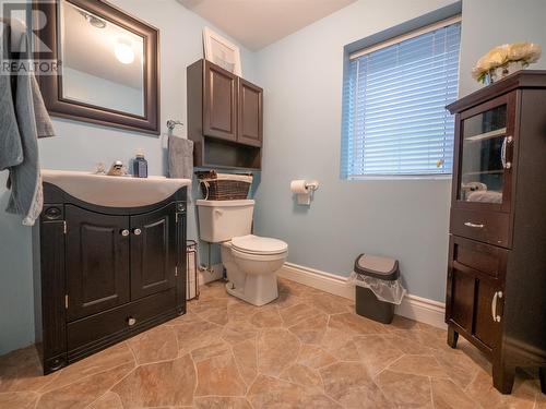 24 Lower Path Road, Bay Bulls, NL - Indoor Photo Showing Bathroom