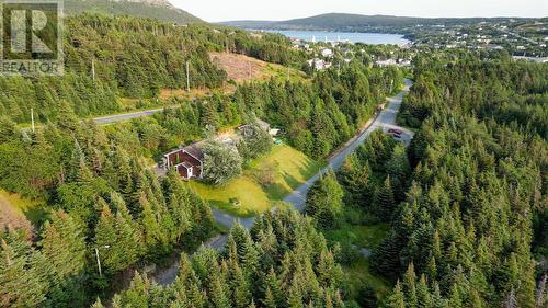 24 Lower Path Road, Bay Bulls, NL - Outdoor With View