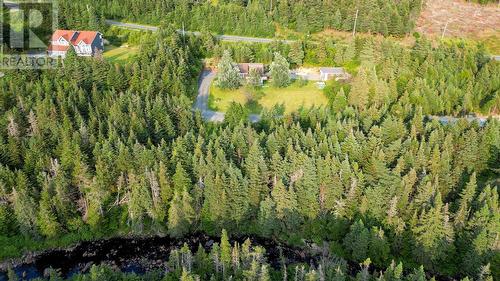 24 Lower Path Road, Bay Bulls, NL - Outdoor With View