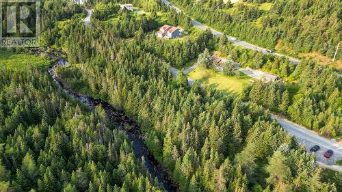 24 Lower Path Road, Bay Bulls, NL - Outdoor With View