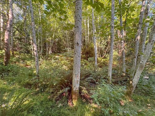 Lot 7 The Strand, Gabriola Island, BC 