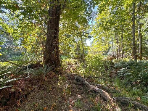 Lot 7 The Strand, Gabriola Island, BC 