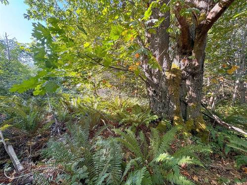 Lot 7 The Strand, Gabriola Island, BC 