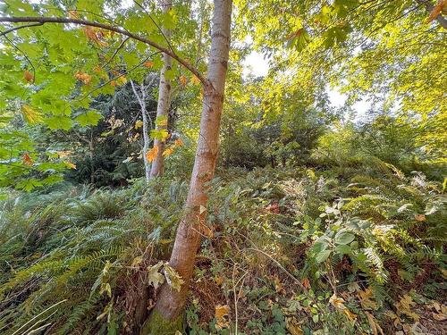 Lot 7 The Strand, Gabriola Island, BC 