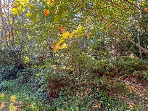 Lot 7 The Strand, Gabriola Island, BC 