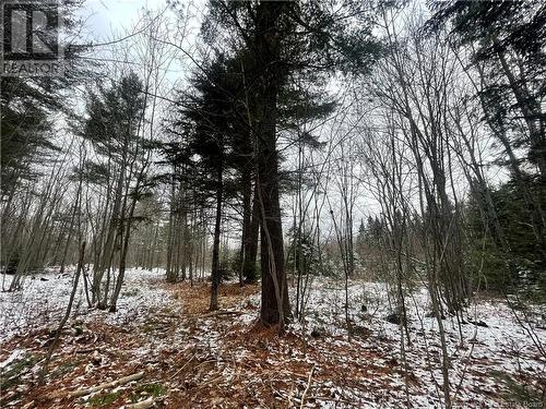 Lot Pleasant Drive, Minto, NB 