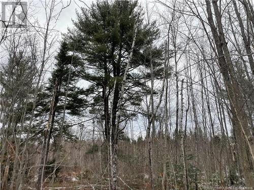 Lot Pleasant Drive, Minto, NB 