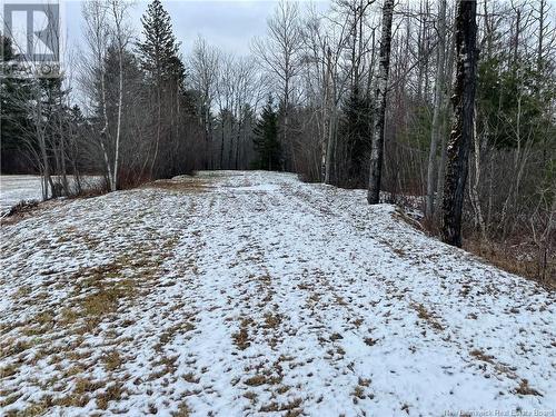 Lot Pleasant Drive, Minto, NB 