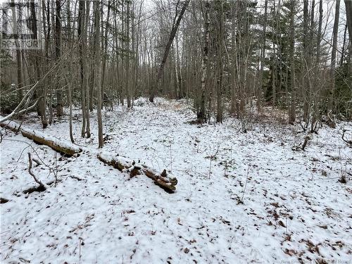 Lot Pleasant Drive, Minto, NB 