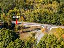 Lot 1 Elk Rd, Lake Cowichan, BC 