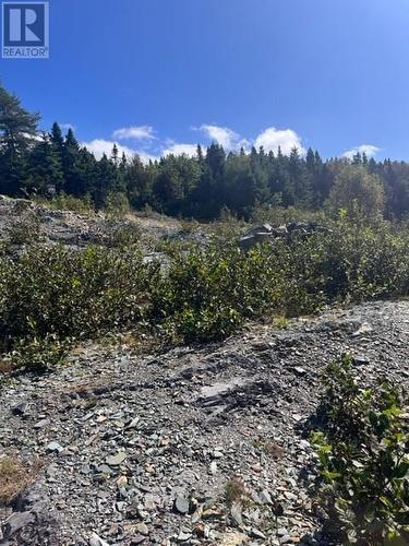 0 Benmores Road, Cape Broyle, NL 