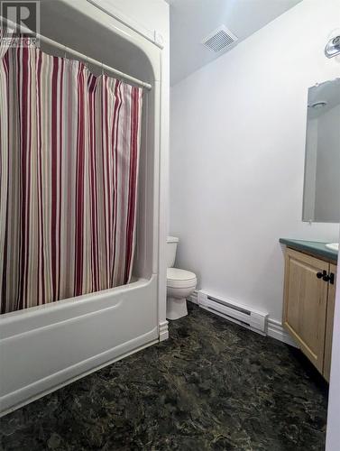 6 Steadyview Drive, Glovertown, NL - Indoor Photo Showing Bathroom