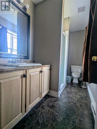 6 Steadyview Drive, Glovertown, NL - Indoor Photo Showing Bathroom