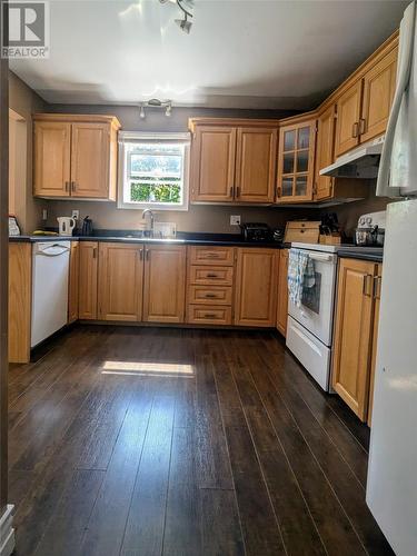 6 Steadyview Drive, Glovertown, NL - Indoor Photo Showing Kitchen