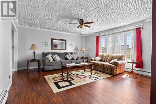 19C Hewitts Point Road, Barr'D Islands, Fogo Island, NL - Indoor Photo Showing Living Room