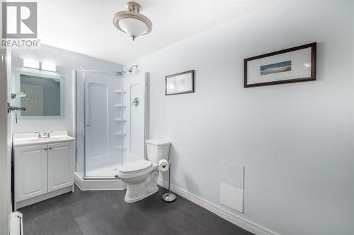 65 Regent Street, St. John’S, NL - Indoor Photo Showing Bathroom