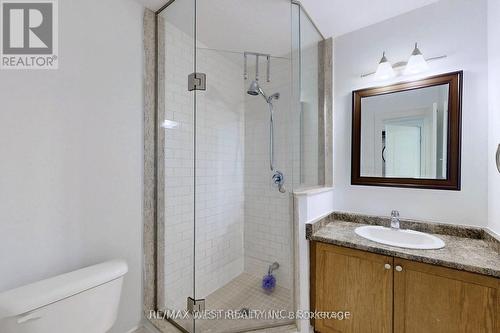 132 Hall Street, Richmond Hill, ON - Indoor Photo Showing Bathroom