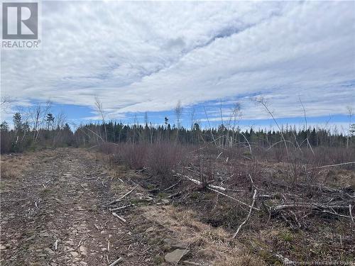 Lot 2 Coy Road, Ripples, NB 