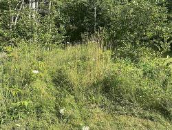 0 Georges River Road  Georges River, NS B1Y 3K1