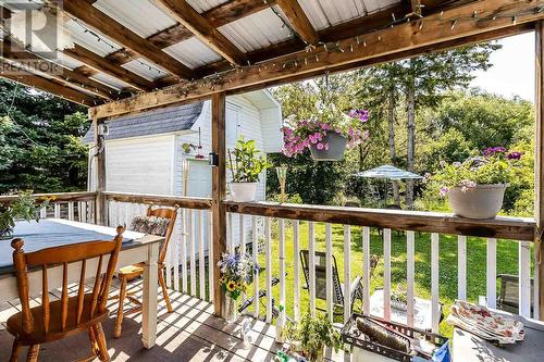 46 Knox Ave, Sault Ste Marie, ON - Outdoor With Deck Patio Veranda With Exterior