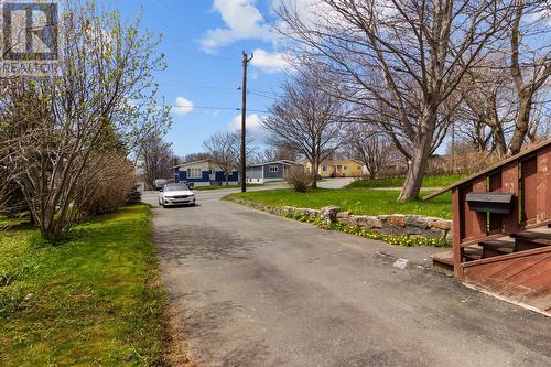 16 Torbay Road, St. John'S, NL - Outdoor