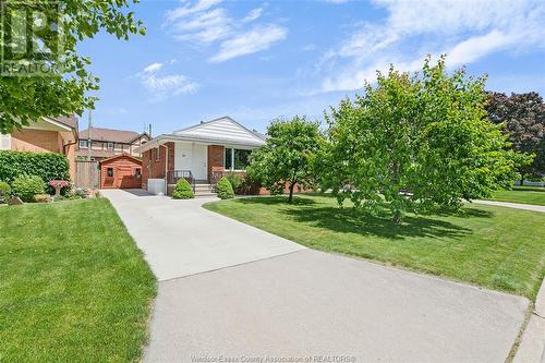 434 Bertha, Windsor, ON - Outdoor