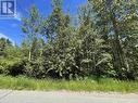 Lot 1 Baker Creek Road, Quesnel, BC 