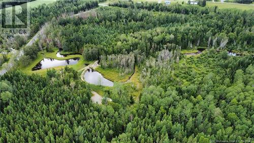 10 675 Route, Grand Falls, NB - Outdoor With View