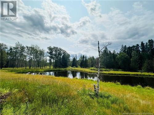 10 675 Route, Grand Falls, NB - Outdoor With View