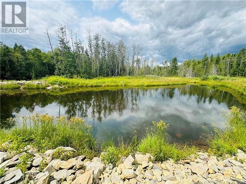 10 675 Route, Grand Falls, NB - Outdoor With Body Of Water With View