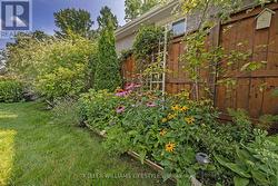 Perennial gardens in bloom - 