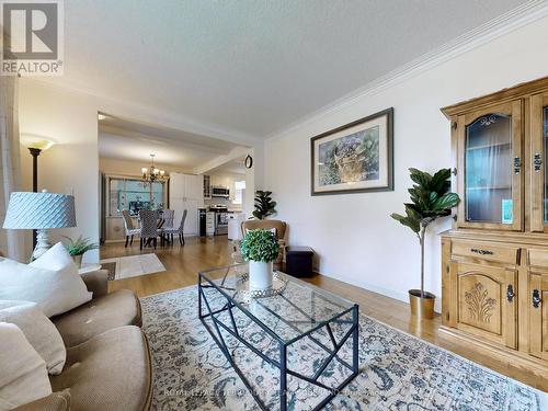 56 Mcallister Road, Toronto (Clanton Park), ON - Indoor Photo Showing Living Room