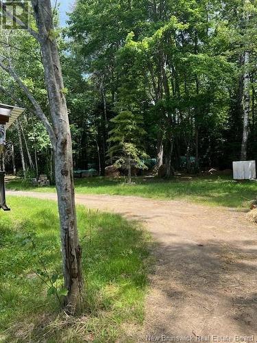 345 Eel River Road, Baie-Sainte-Anne, NB - Outdoor