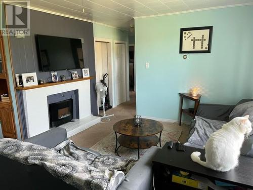 22 Greens Road, Bay Roberts, NL - Indoor Photo Showing Living Room With Fireplace