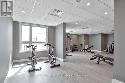 633 - 101 Shoreview Place, Hamilton (Stoney Creek), ON - Indoor Photo Showing Gym Room