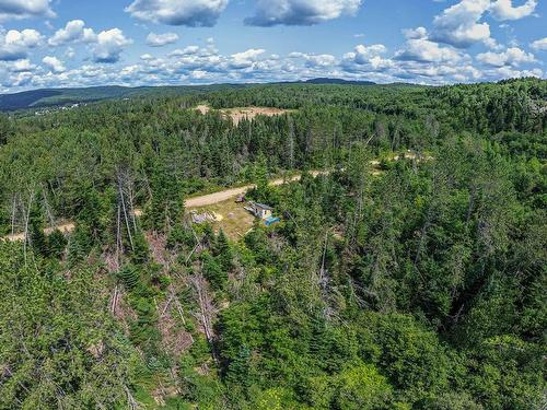 Vue d'ensemble - Ch. Lavoie, Amherst, QC 