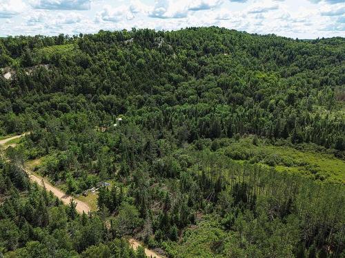 Vue d'ensemble - Ch. Lavoie, Amherst, QC 