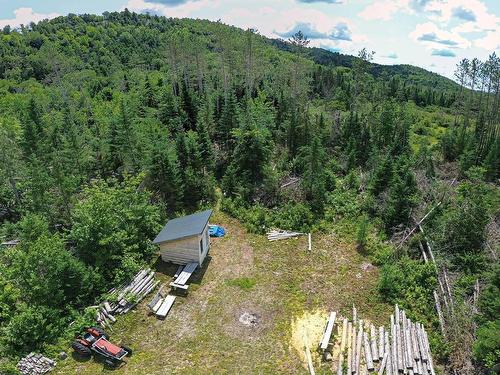 Vue d'ensemble - Ch. Lavoie, Amherst, QC 