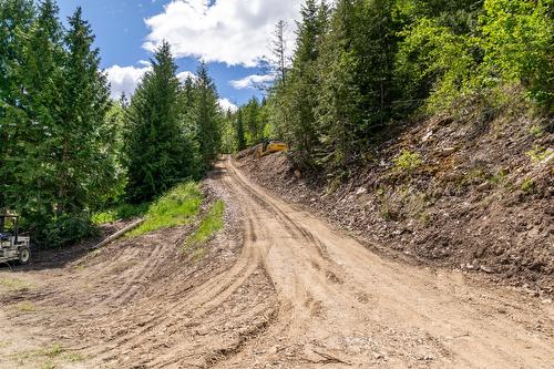 Planned Lot 2 Tappen Notch Hill Road, Tappen, BC 